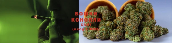 индика Тобольск