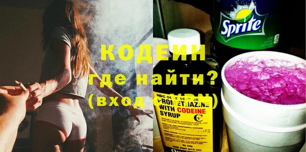 трава Корсаков