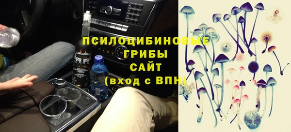 гидропоника Вязьма